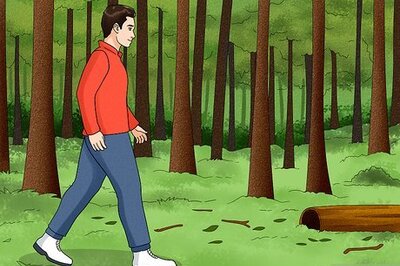 How to Walk Quietly in a Forest