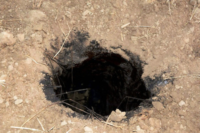 Cross-Border Infiltration: BSF to Scan Borderline for Possible Tunnels