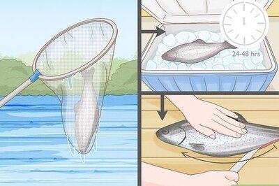 How to Clean a Fish