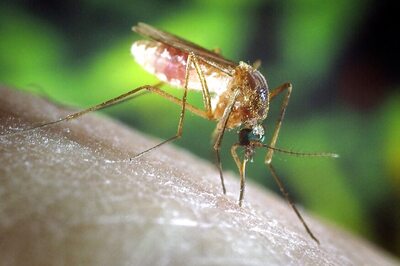 1st Eastern Equine Encephalitis Human Death Reported in Indiana