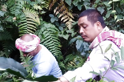 98% Safe Herbal Drug from Arunachal's Forests Claims to Cure Covid in 4 Days with Zero Side-effects