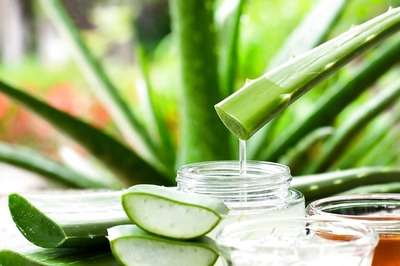 Aloe Vera Juice To Arjuna Tea, Ayurvedic Drinks That Improve Heart Health