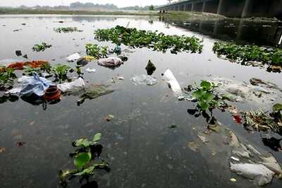 Rs 5000 fine for throwing waste, puja offerings in Yamuna