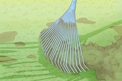 Best Ways to Kill and Remove Moss from Grass, Concrete, & Roofs