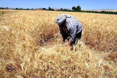 Nearly Half a Million Syrians Return to Own Homes This Year: UNHCR