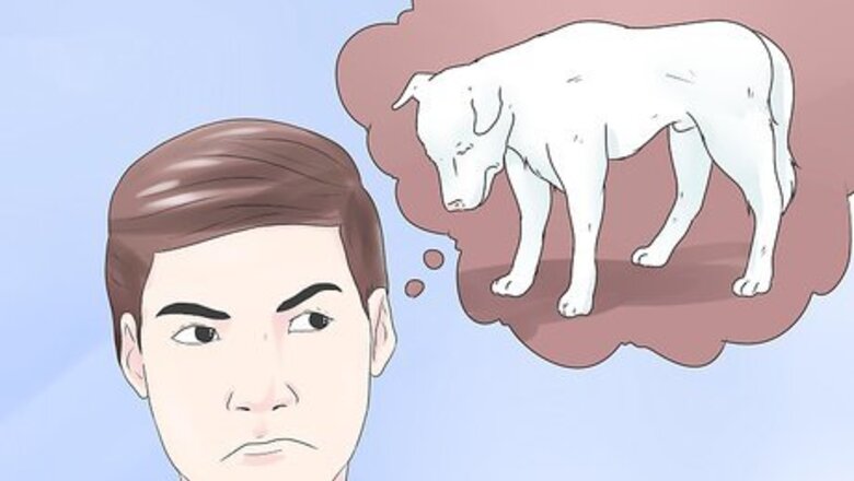 How to Spot Dog Seizure Symptoms
