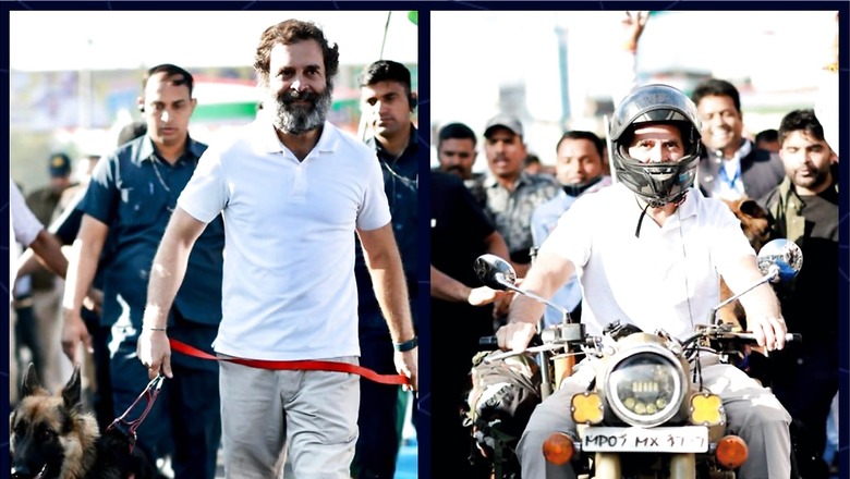 From Walking With Pawsome Friend To Riding A Bike, A Peek into Rahul Gandhi's Bharat Jodo Yatra