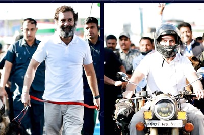 From Walking With Pawsome Friend To Riding A Bike, A Peek into Rahul Gandhi's Bharat Jodo Yatra