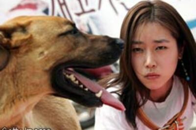 Dog meat off Beijing menus for Olympics