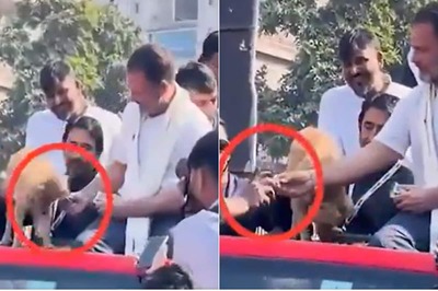 'Dog Was Nervous, Handed Biscuits To Its Owner’: Rahul Gandhi On Viral Video Shared By BJP