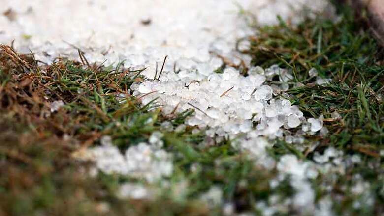 Crops in 1.25 Lakh Hectares Affected, Five Die After Deadly Hailstorm Hits Vidarbha and Marathwada