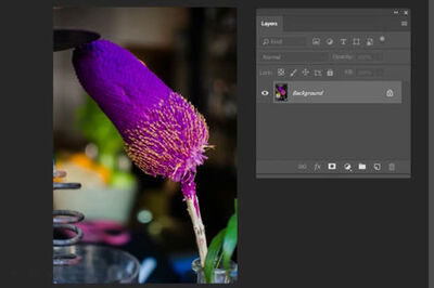 How to Make a Pop up Photograph