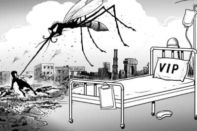 No Respite for Dehradun as Dengue Cases Mount to 650, Highest in Three Years