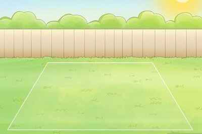 How to Care for a Fig Tree