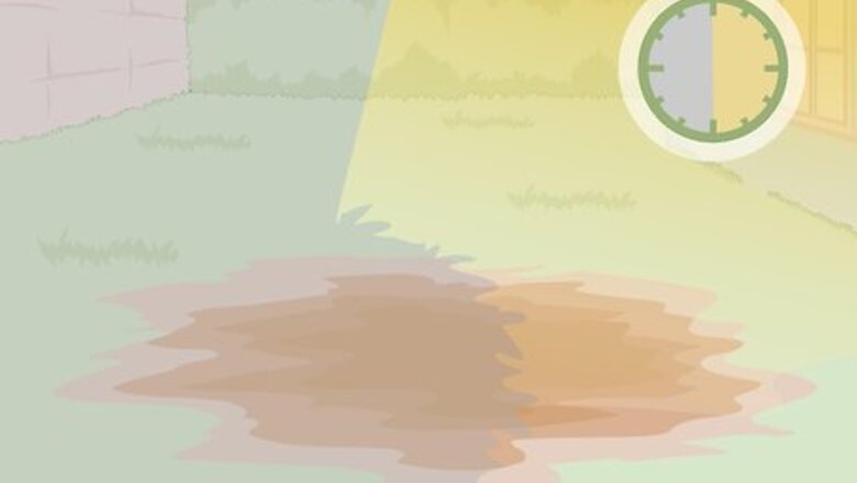 How to Care for a Bleeding Heart