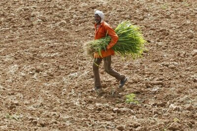 PM-Kisan Pension: Farmers' Contribution to be Rs 100/month