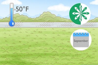 How to Overseed a Lawn