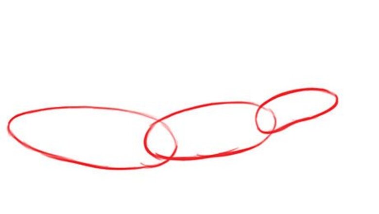 How to Draw a Blue Whale