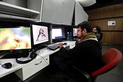 It takes 29 days, 12 procedures to start a new business in India: World Bank