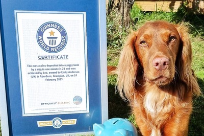 This Dog Just Earned A Guinness World Record For Putting Coins In Piggy Bank