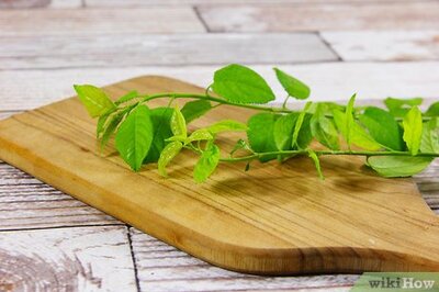 How to Make Hydrosols