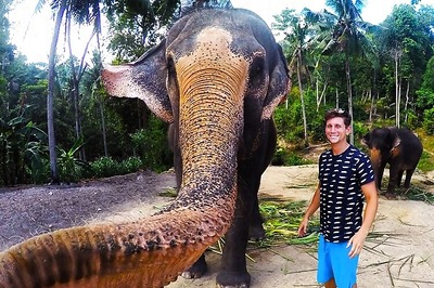 Is this the world's first 'elphie'? How this elephant took a selfie