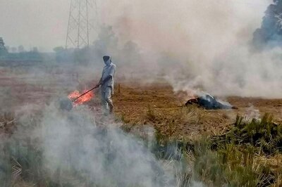 Stubble Burning Continues in Punjab, Haryana Despite Supreme Court Orders, Says Cabinet Secretary