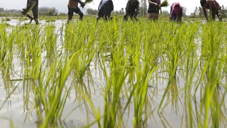 Denied Compensation, Over 200 MP Farmers Seek President Kovind’s Permission to Die