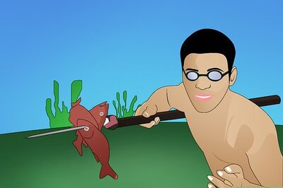 How to Spear a Fish