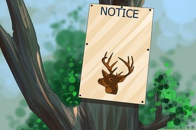How to Spot Deer Tracks