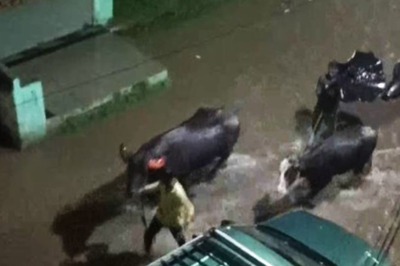 Maharashtra Rain Updates: NDRF Deployed in Raigad, Murud Sees Highest Rainfall; Red Alert for Palghar