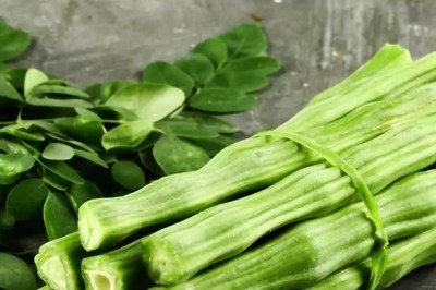 Facing Iron Deficiency? Try This Drumstick Soup Recipe By Union Minister Smriti Irani