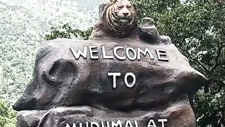 Why Tourist Vehicles Are Not Allowed In Ooty's Kalhatty Mountain Road