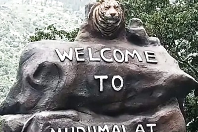 Why Tourist Vehicles Are Not Allowed In Ooty's Kalhatty Mountain Road