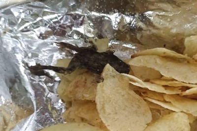 After Human Finger, Centipede In Ice Cream And Snake In Food, Dead Frog Found In Wafer Packet In Gujarat