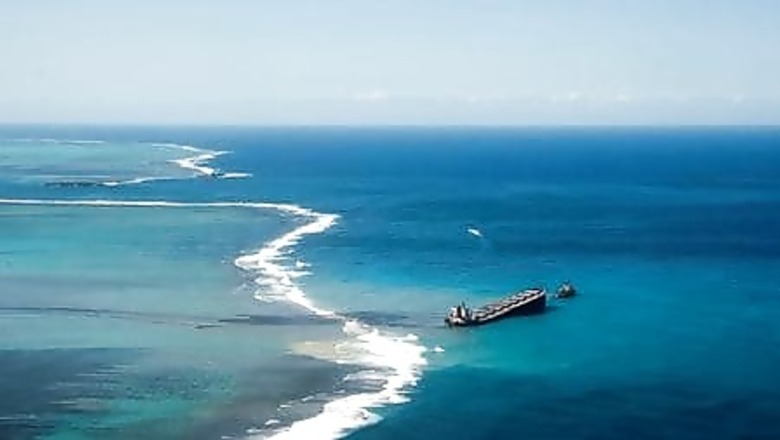 'Heartwrenching': At Least 40 Dolphins Dead Near Mauritius Oil Spill
