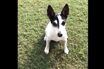 I'm the One Who Runs Rahul Gandhi's Twitter Account: Pidi 'Comes Clean'