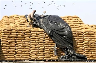 Govt gearing up to bring in ordinance on Food Security: Sources