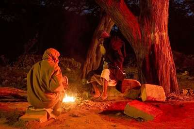 Odisha Remains Under Grip of Cold Wave; Phulbani Coldest at 5.3 Degrees Celsius