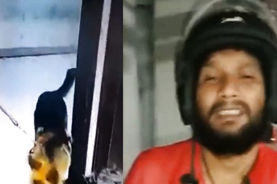 Pet Dog Attacks And Bites Zomato Delivery Executive on His Private Parts in Mumbai