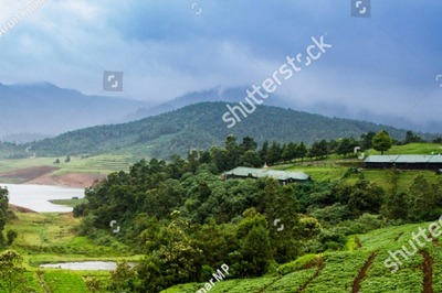 If in Ooty, do not Skip These Must-Visit Places