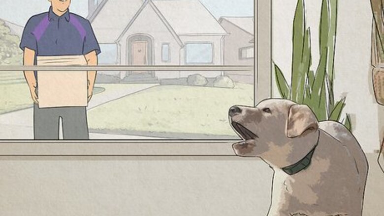 Why Do Dogs Bark at Nothing?