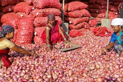 Govt Expects Onion Prices To Fall Below Rs 40 Per Kg By January: Official