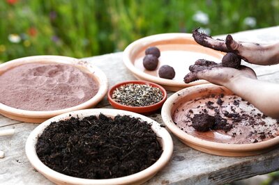 Opinion: Why Seed Balls are the Future of Plantation in India and the World