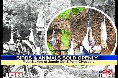 Endangered animals, birds sold openly in Puducherry