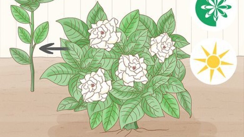 How to Make a Daisy Chain: DIY Inspiration and Sewing Tips
