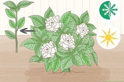 How to Make a Daisy Chain: DIY Inspiration and Sewing Tips