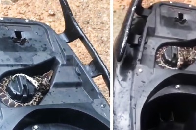 ‘New Fear Unlocked’: Internet Reacts To Python Coiled Around Scooter’s Fuel Tank