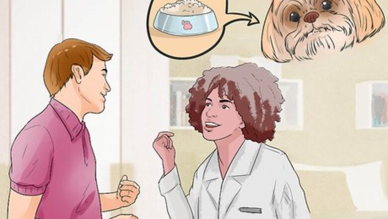 The Complete Guide to Caring for a Lhasa Apso