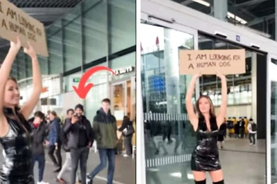 'Looking For Human Dog': Dutch Woman's Unusual Poster In Utrecht Goes Viral